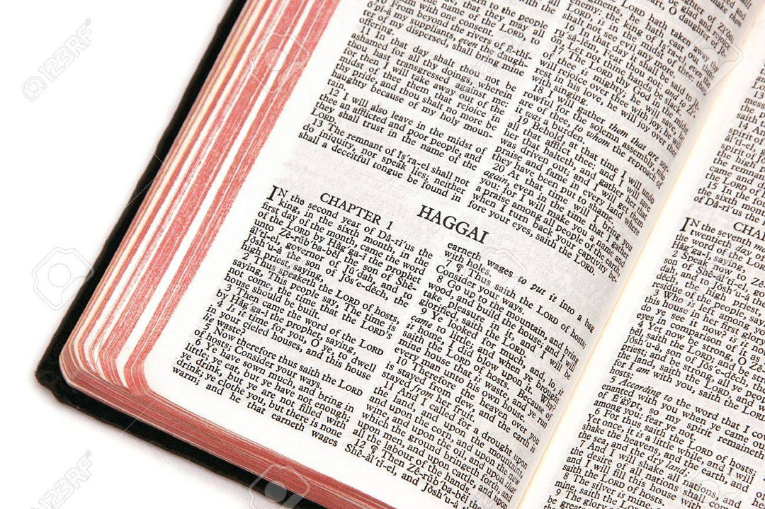 Le Livre d'Aggée - Livre Biblique expliqué